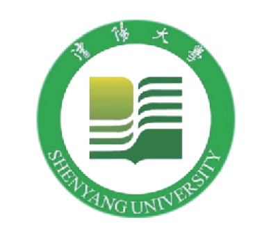 沈阳大学Beyond_Top战队